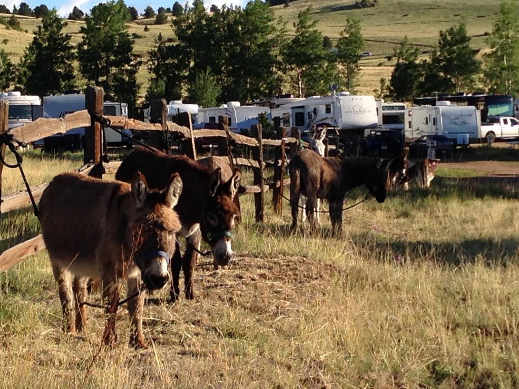 Hotel Cripple Creek Hospitality House & Travel Park Esterno foto